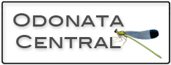 the logo for Odonata Central