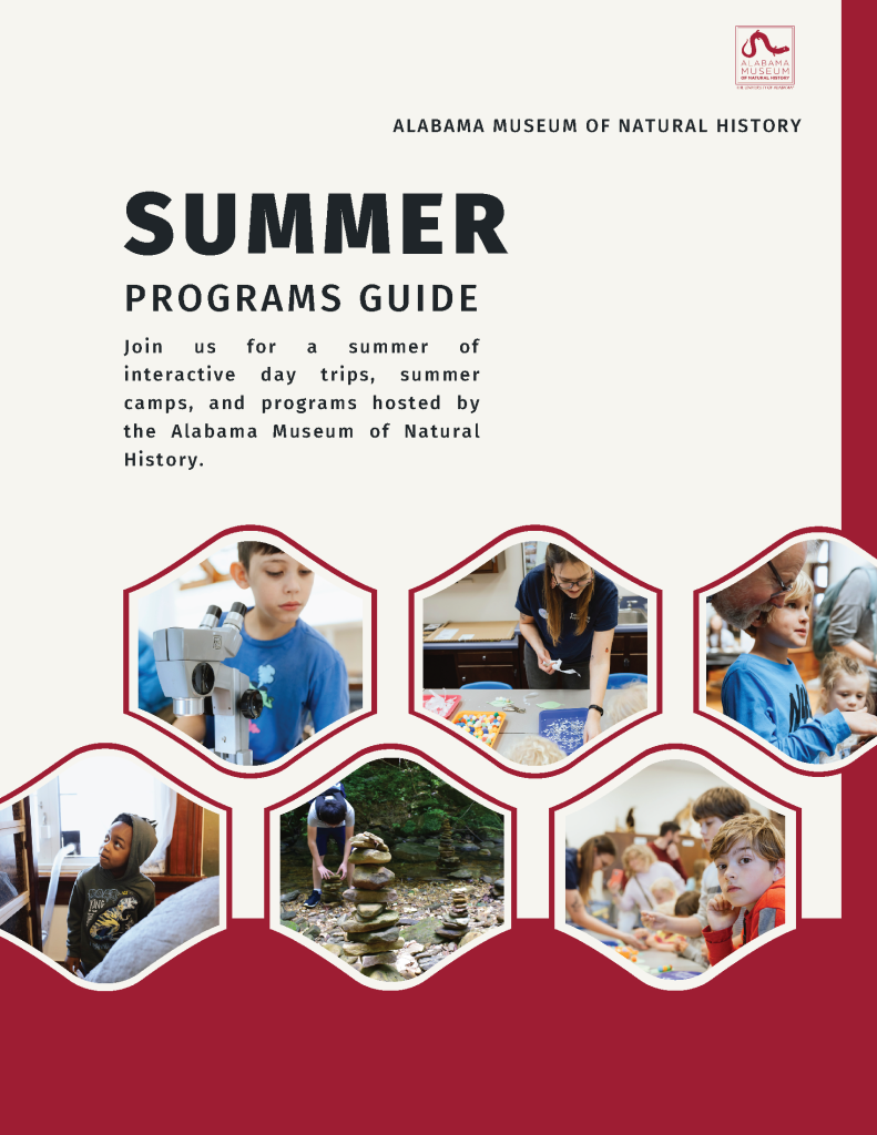 Download the 2023 ALMNH Summer Program Guide.