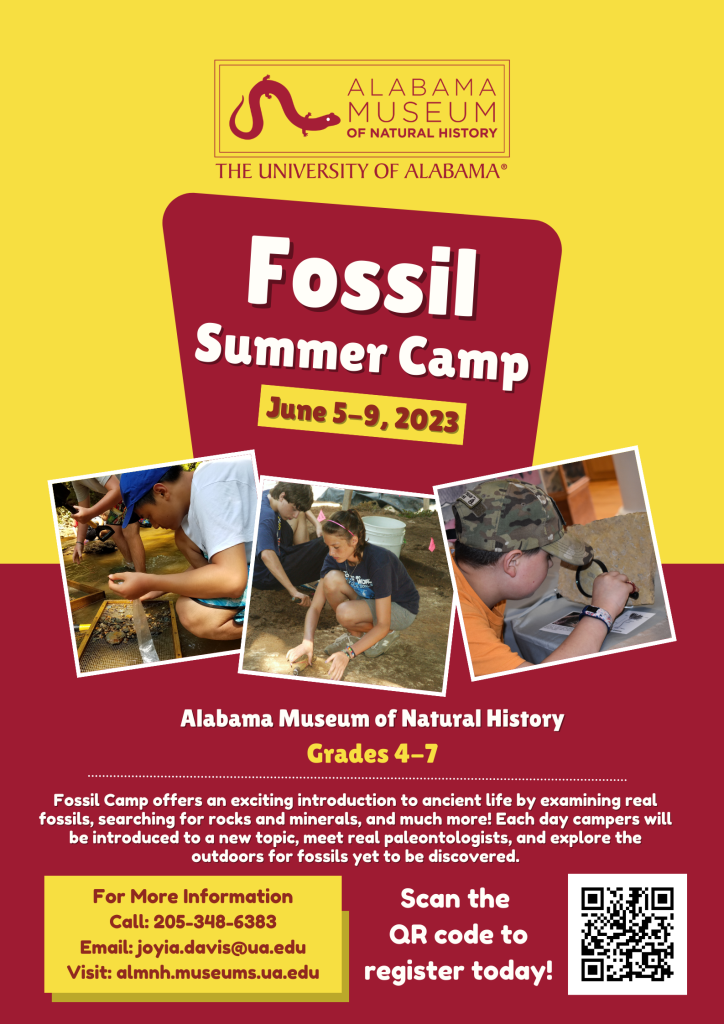 Fossil Summer Camp fyer