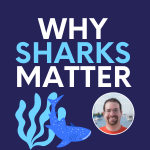 Why Sharks Matter promotional graphic
