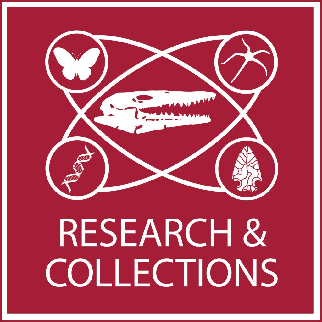 Department of Research and Collections logo